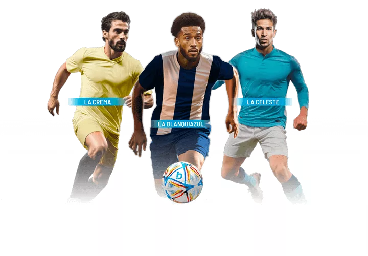 Gremio x sao luiz