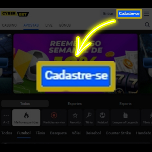 O ultimo portal